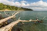 Sheltered by a woodland backdrop, Priory Bay enjoys an expanse of golden sands and can be accessed by following the coastline round from Seagrove Bay.