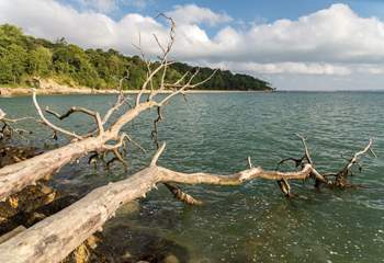 Sheltered by a woodland backdrop, Priory Bay enjoys an expanse of golden sands and can be accessed by following the coastline round from Seagrove Bay.