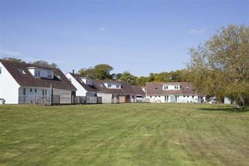 Shared communal grounds at Tollgate. Plenty of space for children and dogs to run around and let off steam before bed time.