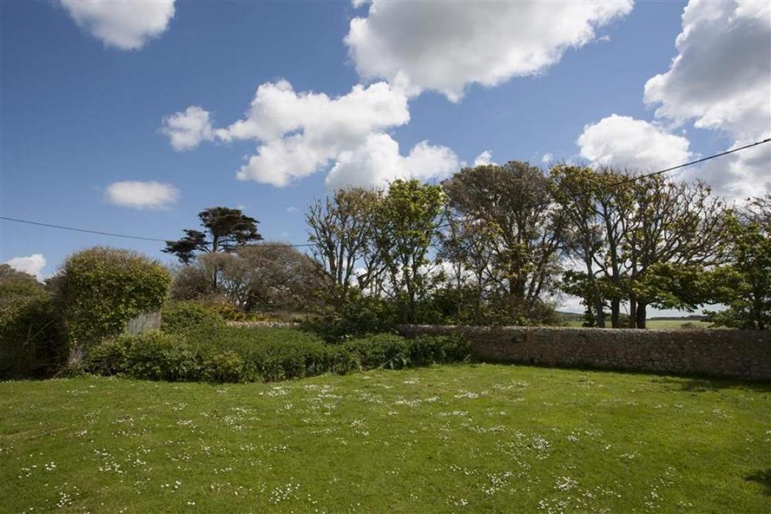 Have fun making daisy chains on a summer afternoon.