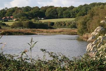 See how many different species of birds you can spot during your stay.