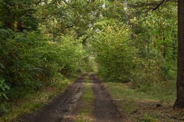The beach is approximately a fifteen minute walk from the farmhouse!