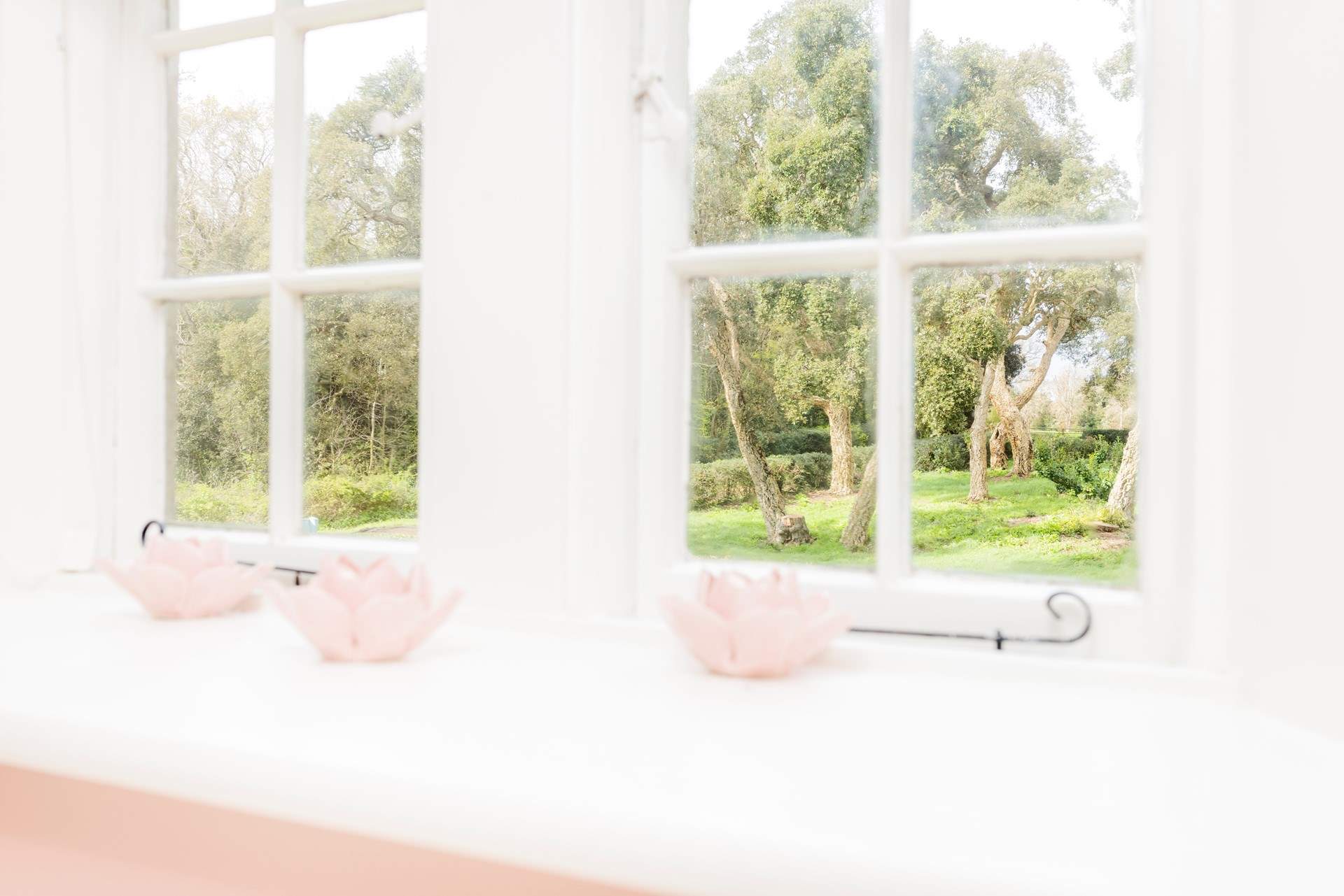 Gorgeous views from every window!