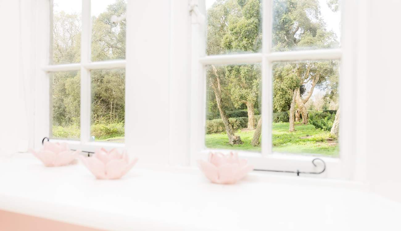 Gorgeous views from every window!