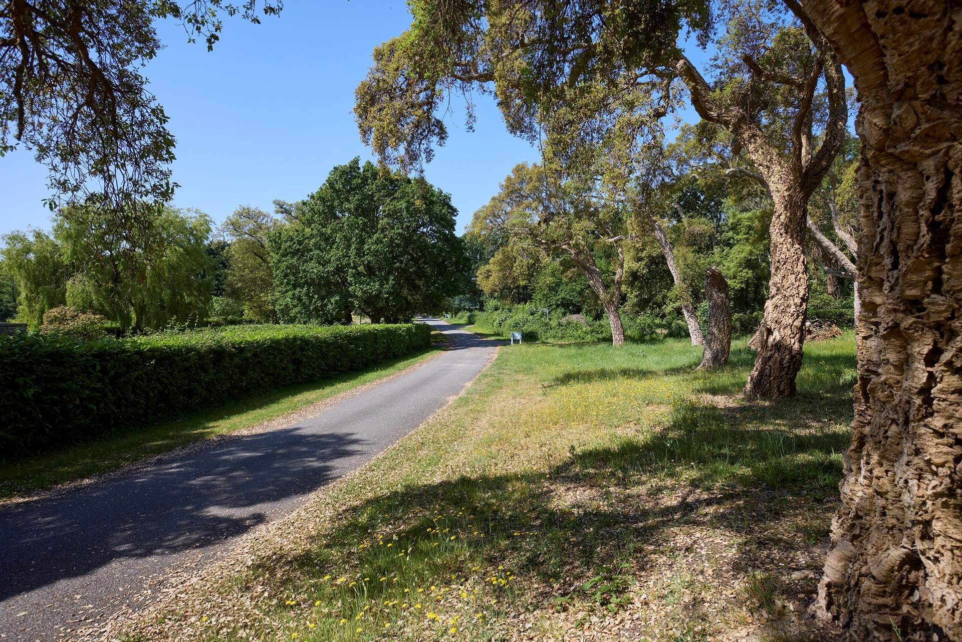 Barton Estate is a magical place to spend time with family and friends.
