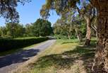 Barton Estate is a magical place to spend time with family and friends.