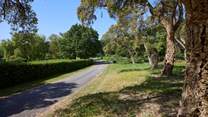 Barton Estate is a magical place to spend time with family and friends.