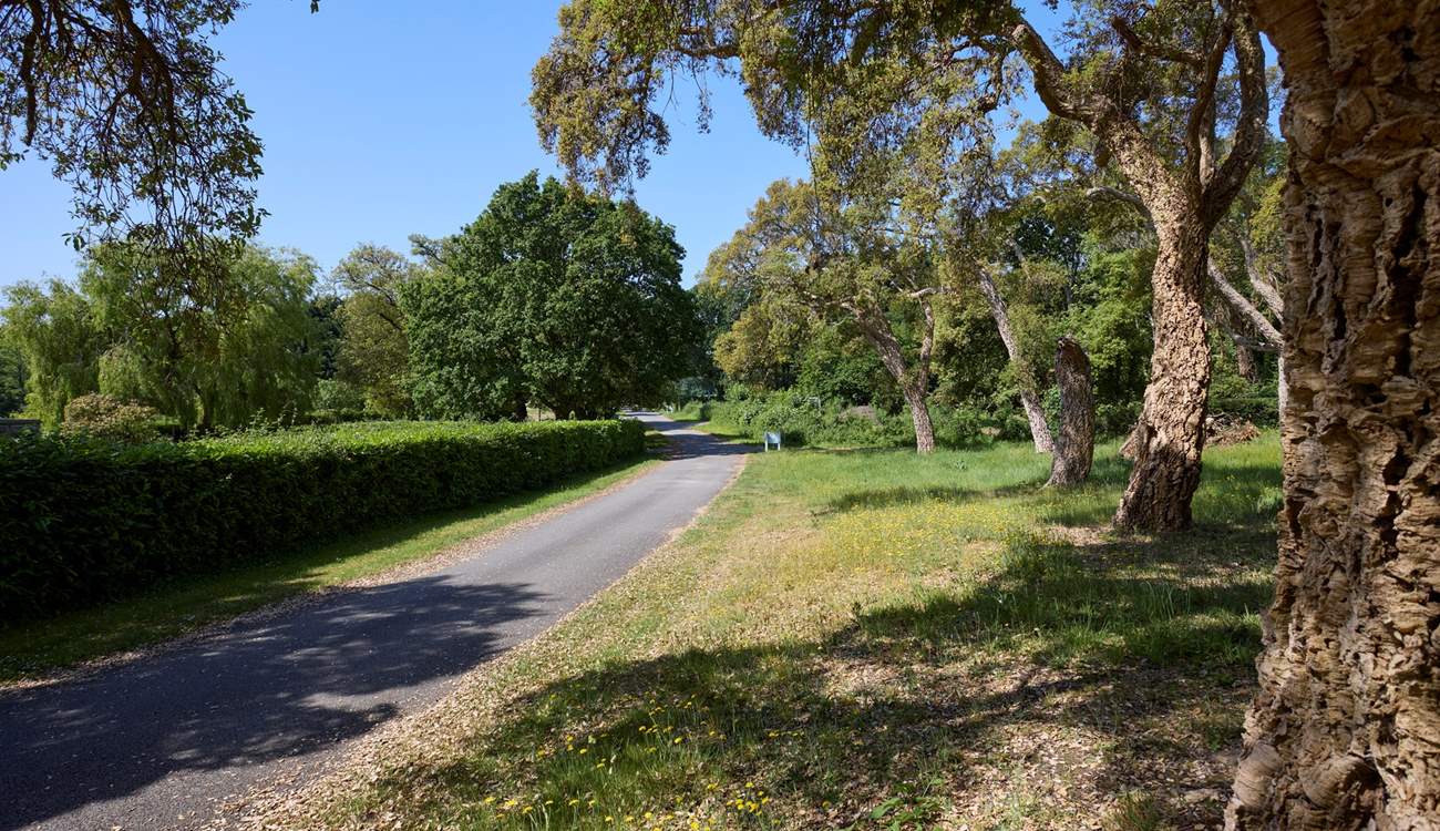 Barton Estate is a magical place to spend time with family and friends.
