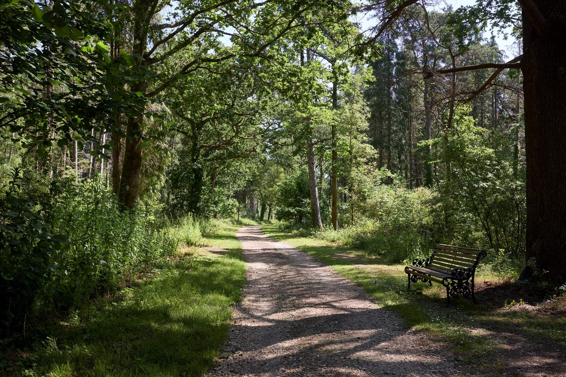 Take a peaceful stroll through the beautiful woodlands.
