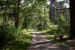 Take a peaceful stroll through the beautiful woodlands.