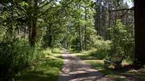Take a peaceful stroll through the beautiful woodlands.