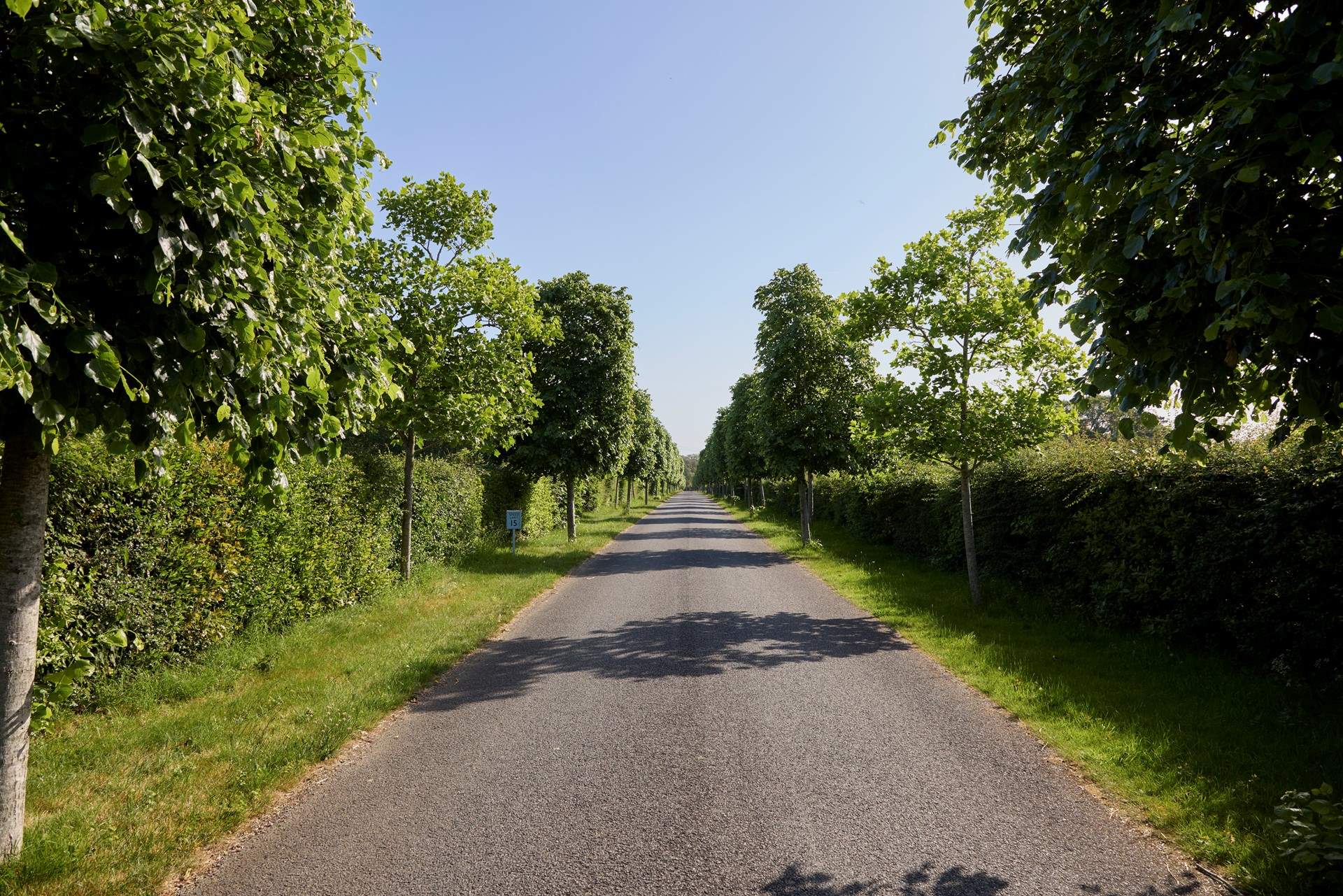There is a long private driveway leading to the Farmhouse.