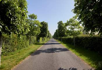 There is a long private driveway leading to the Farmhouse.