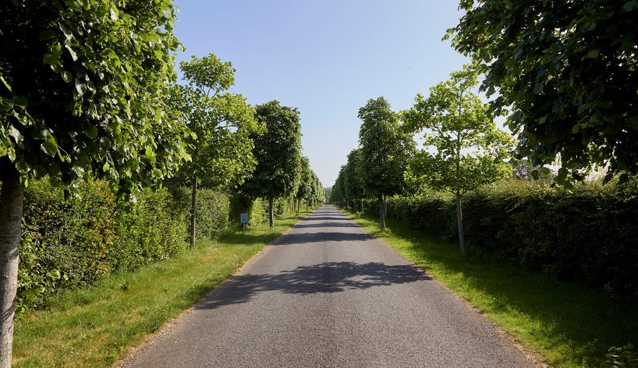 There is a long private driveway leading to the Farmhouse.