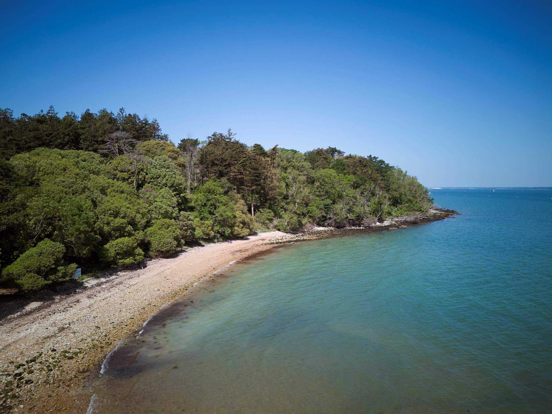 Take a picnic down to the beach and watch the boats sail by.