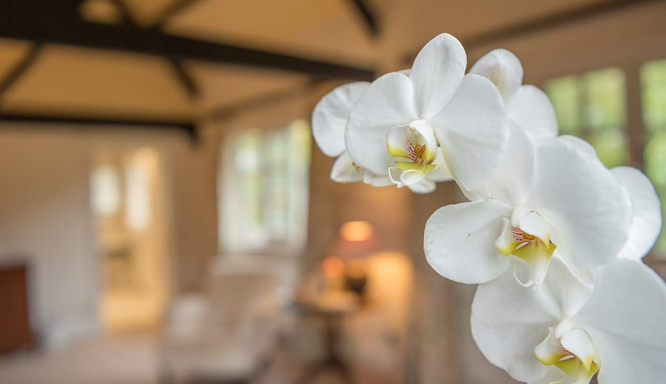 This would make a perfect honeymoon destination.