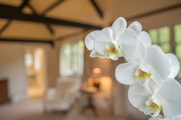 This would make a perfect honeymoon destination.