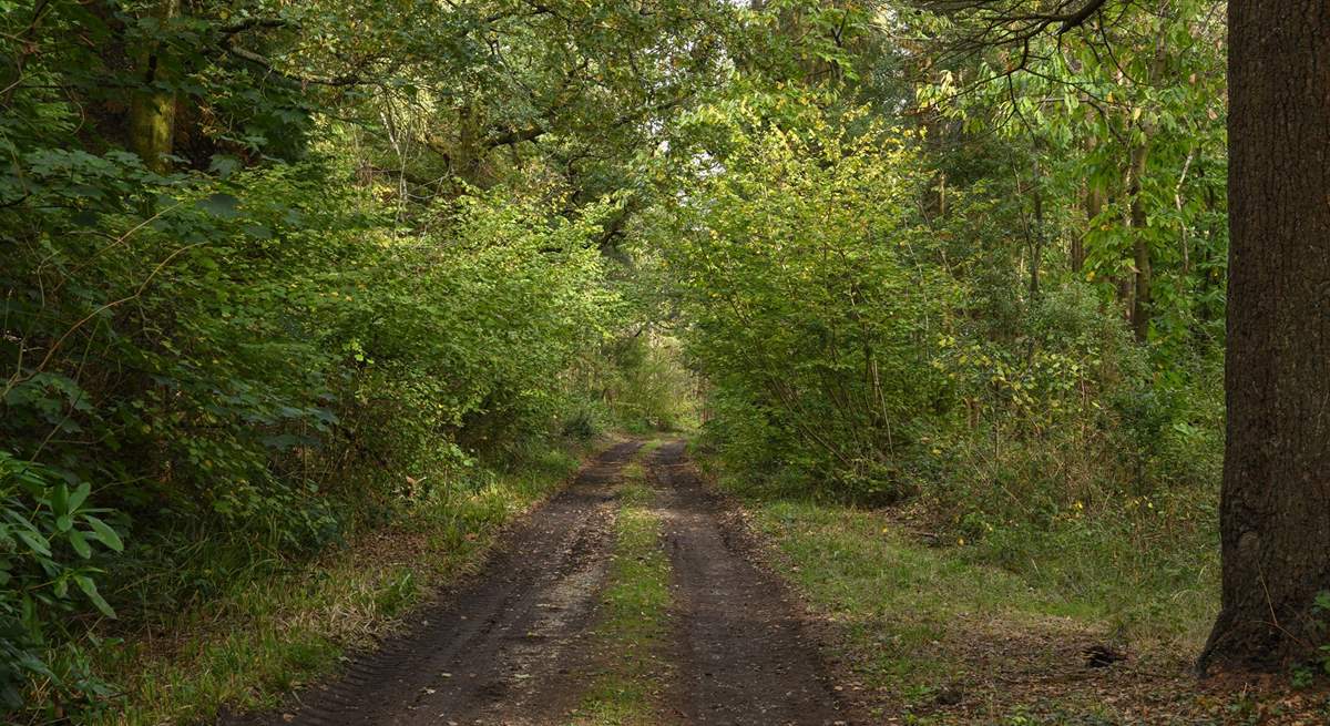 The walk to the private beach should take no more than fifteen minutes.