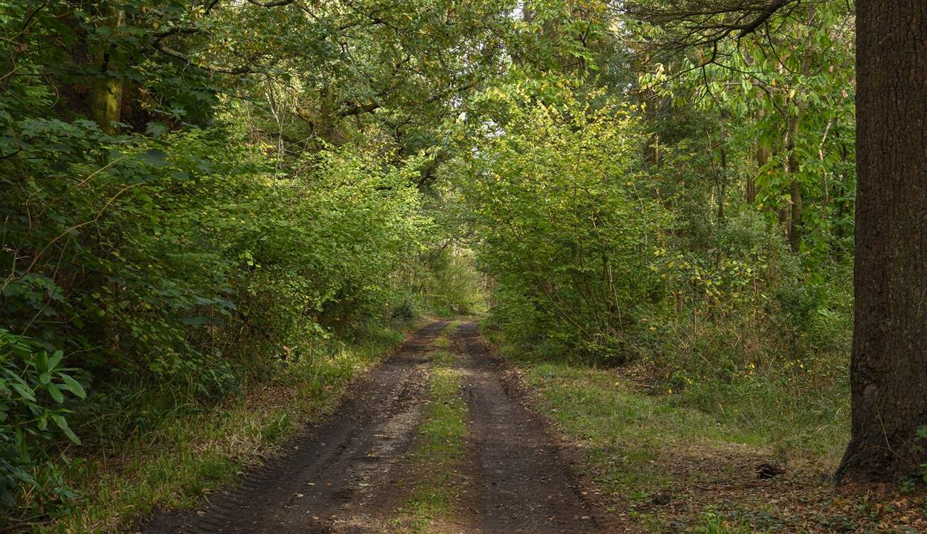 The walk to the private beach should take no more than fifteen minutes.