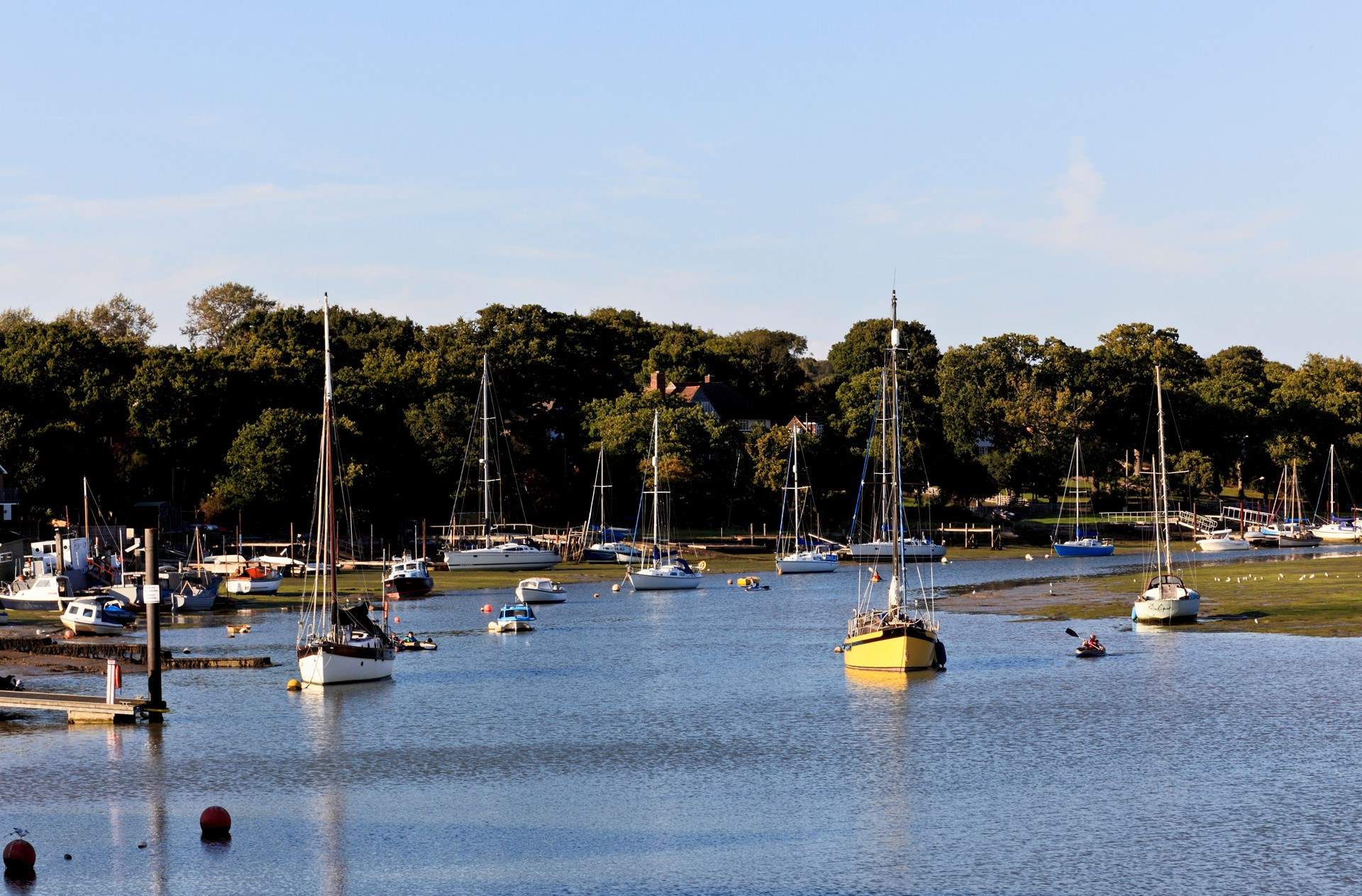 There's always something to see on the creek. 