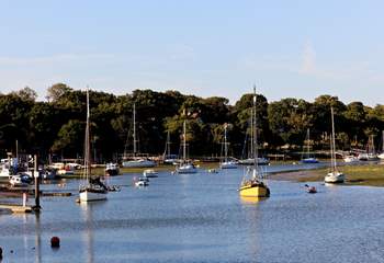 There's always something to see on the creek. 