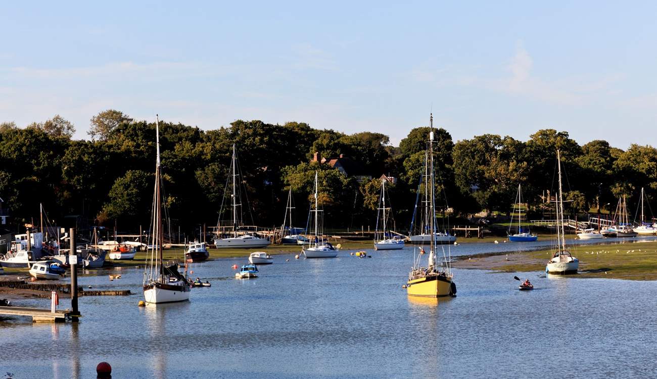 There's always something to see on the creek. 