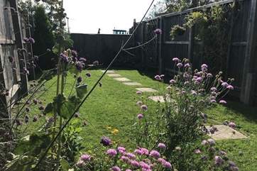 The sunny enclosed garden.