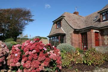 Front garden.