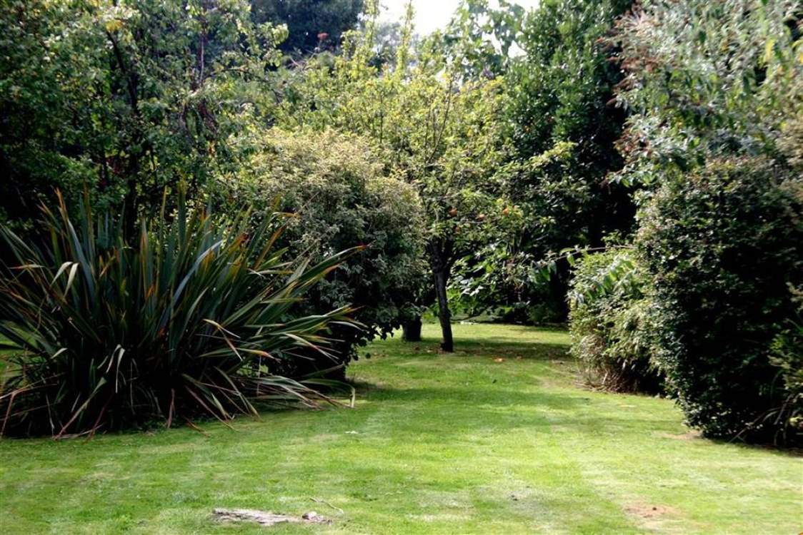 Large enclosed garden, perfect for children