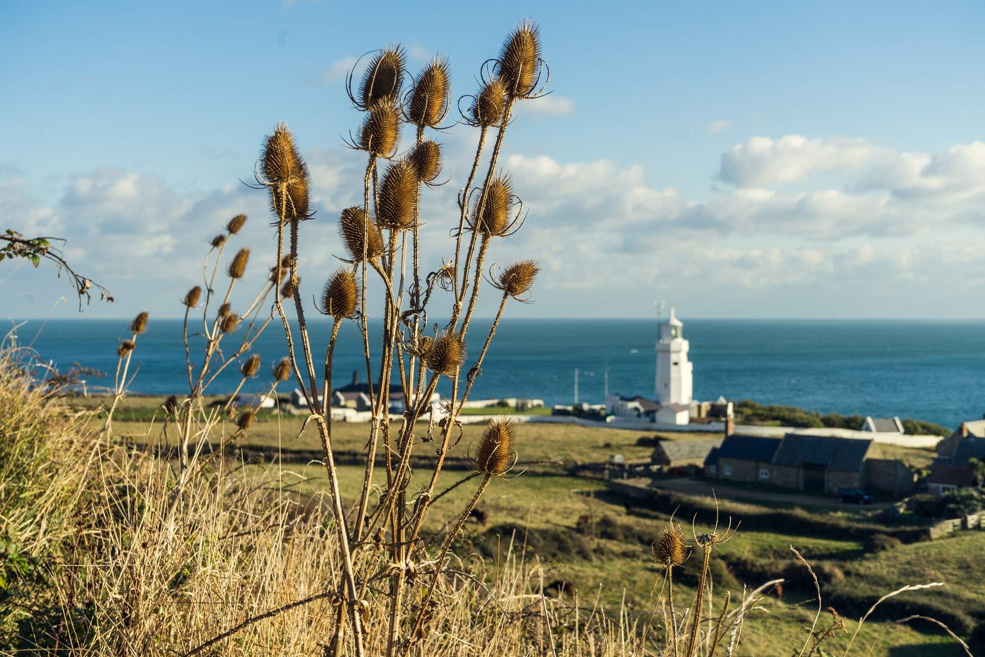 St Catherine's Lighthouse located on the southern tip of the island.