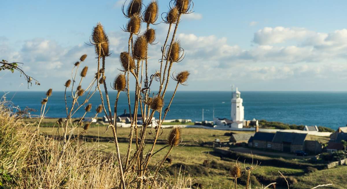 St Catherine's Lighthouse located on the southern tip of the island.