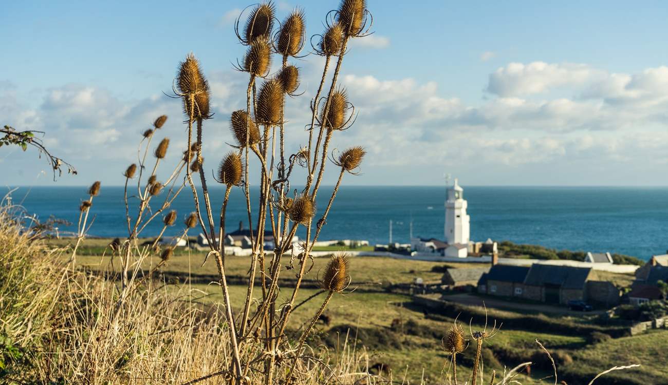 St Catherine's Lighthouse located on the southern tip of the island.