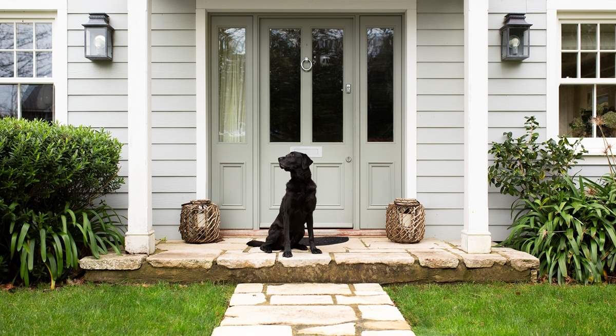 Pitt Corner welcomes one well behaved dog.