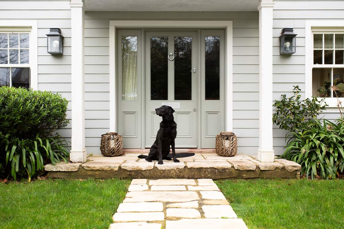 Pitt Corner welcomes one well behaved dog.