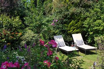 The lovely garden in full bloom, a perfect place to enjoy the sunshine.