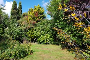 Soak up the sun in the garden.