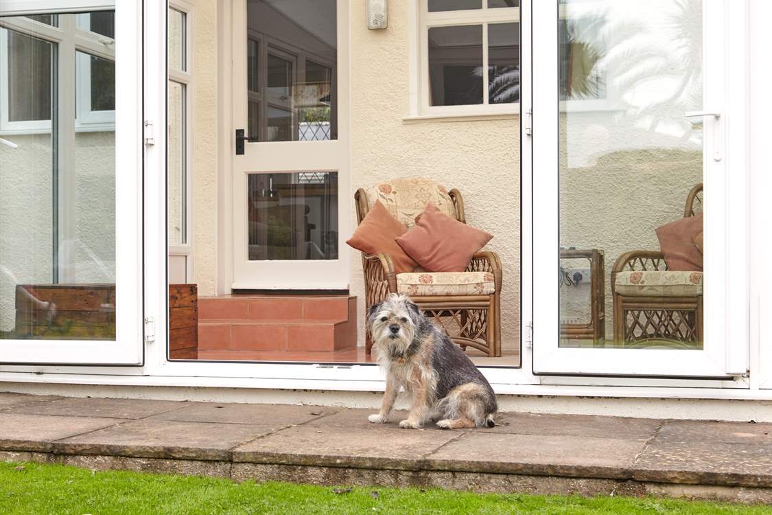 Quiet Corner is dog friendly.