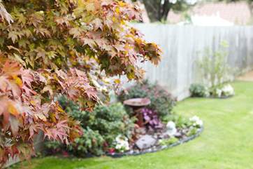 The mature borders in the garden.