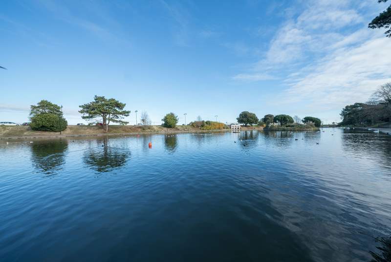 Ryde Canoe Lake is a beautiful setting at any time throughout the day. 