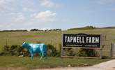 A fun day out for all the family. Visit Tapnell Farm a short drive from Yarmouth. - Thumbnail Image