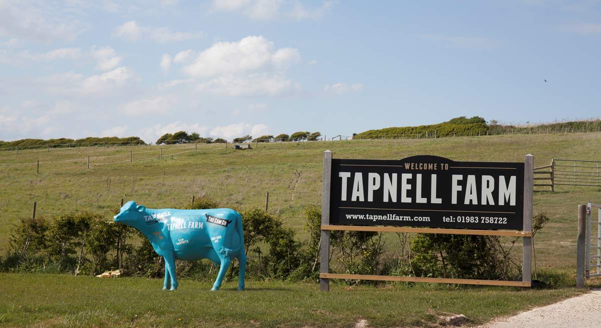 A fun day out for all the family. Visit Tapnell Farm a short drive from Yarmouth.