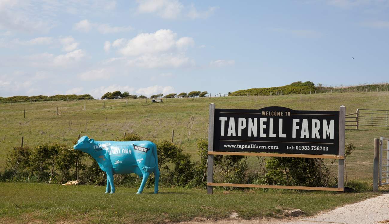 A fun day out for all the family. Visit Tapnell Farm a short drive from Yarmouth.