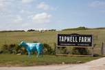 A fun day out for all the family. Visit Tapnell Farm a short drive from Yarmouth.