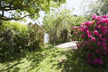 Pretty garden accessible from the lower ground level too