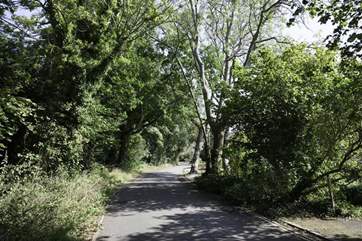 Gully Road which will lead you to Seagrove Bay