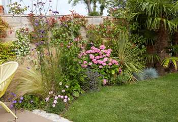 Beautiful flowers in the garden borders.