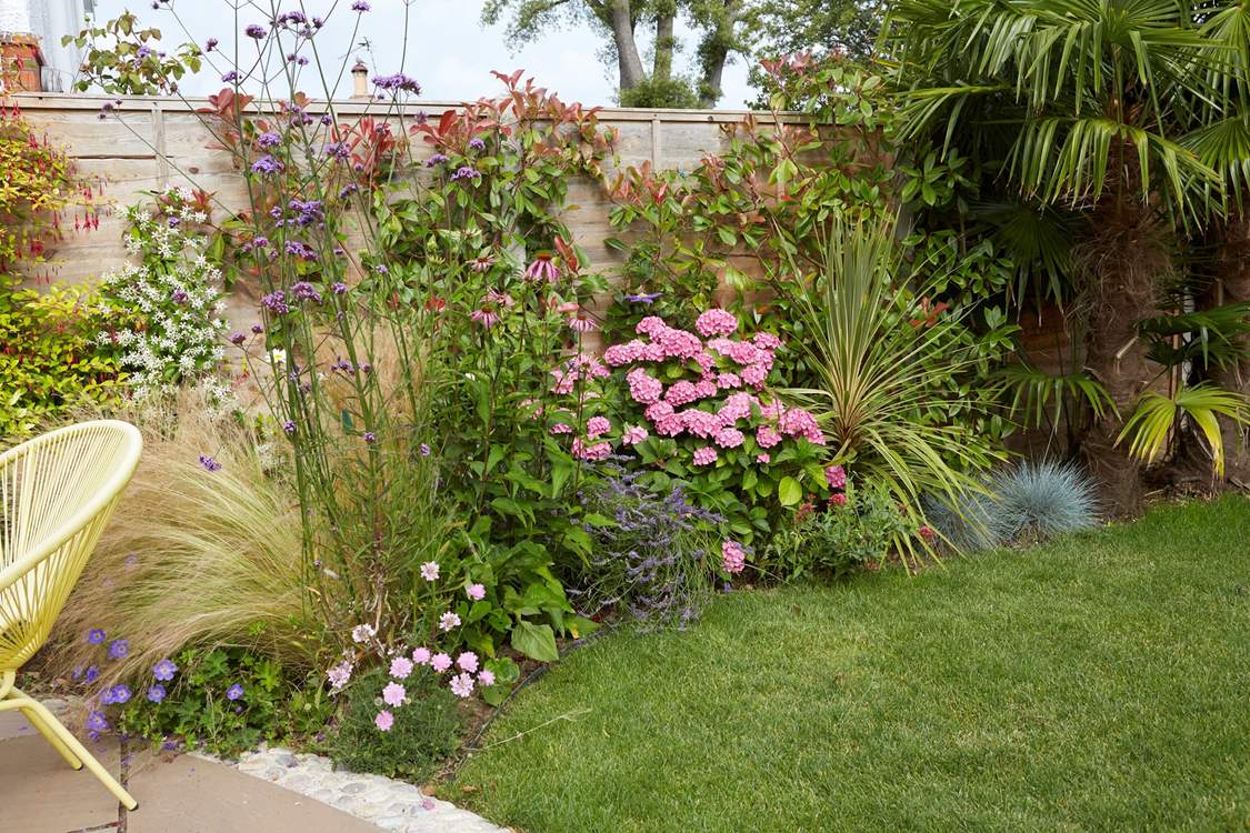 Beautiful flowers in the garden borders.