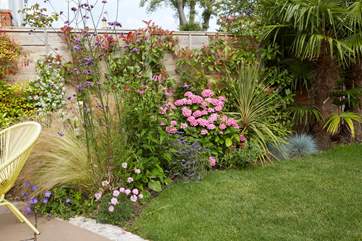 Beautiful flowers in the garden borders.
