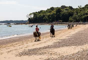 Seagrove Bay is stunning and the local stables occasionally exercise horses on the beach. 