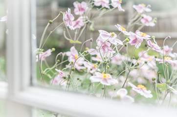 Enjoy the flora and fauna.
